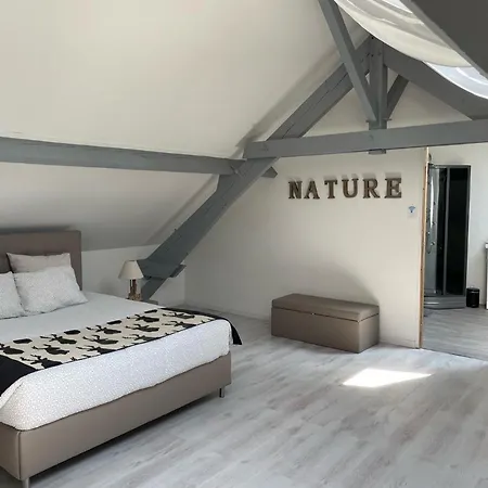 Chambre D'Hotes La Chaiserie Bed & Breakfast Romeries Exterior photo